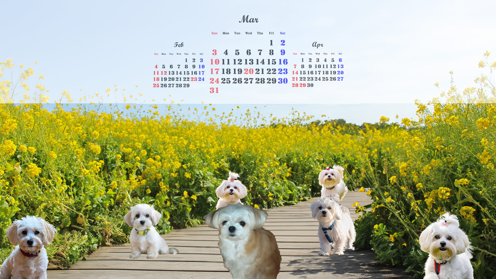 おじゃん子カレンダー