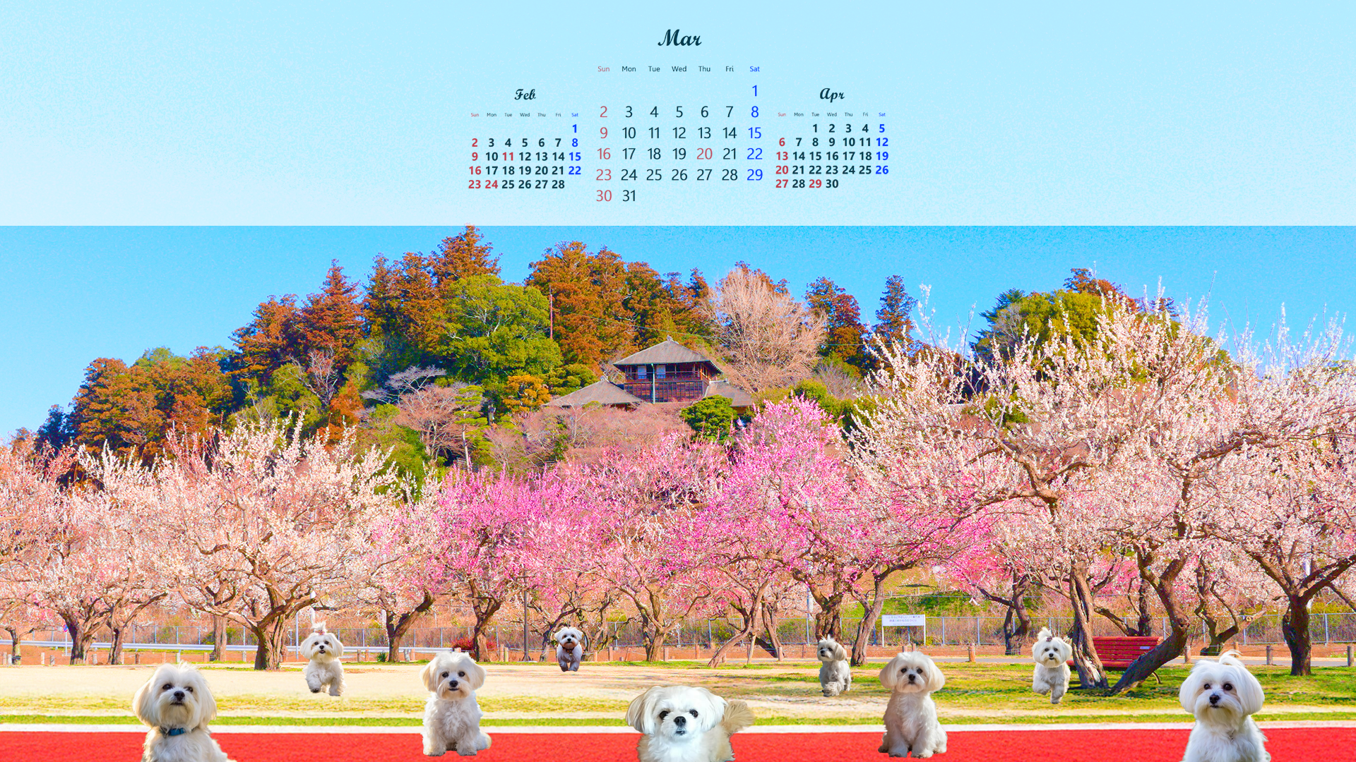 202503カレンダー