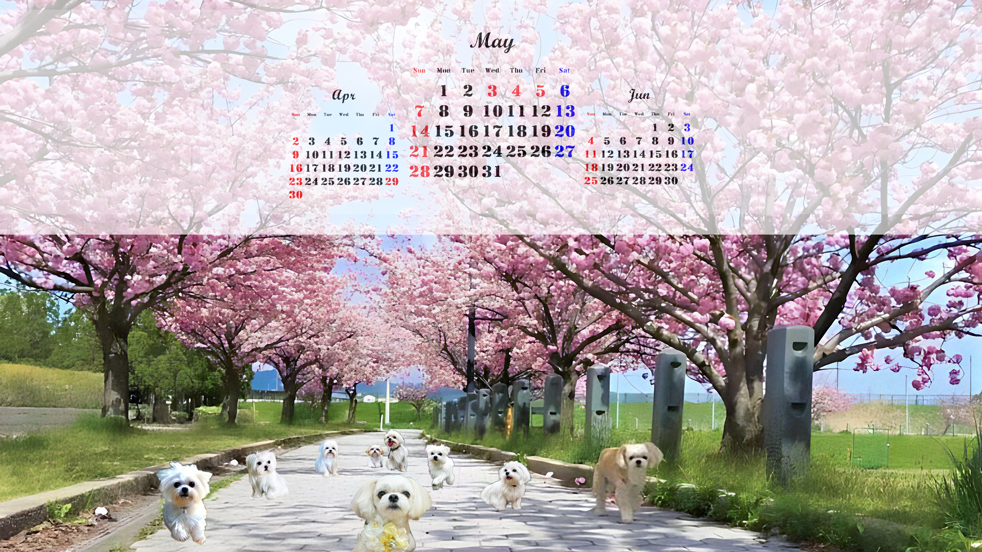 May.'23