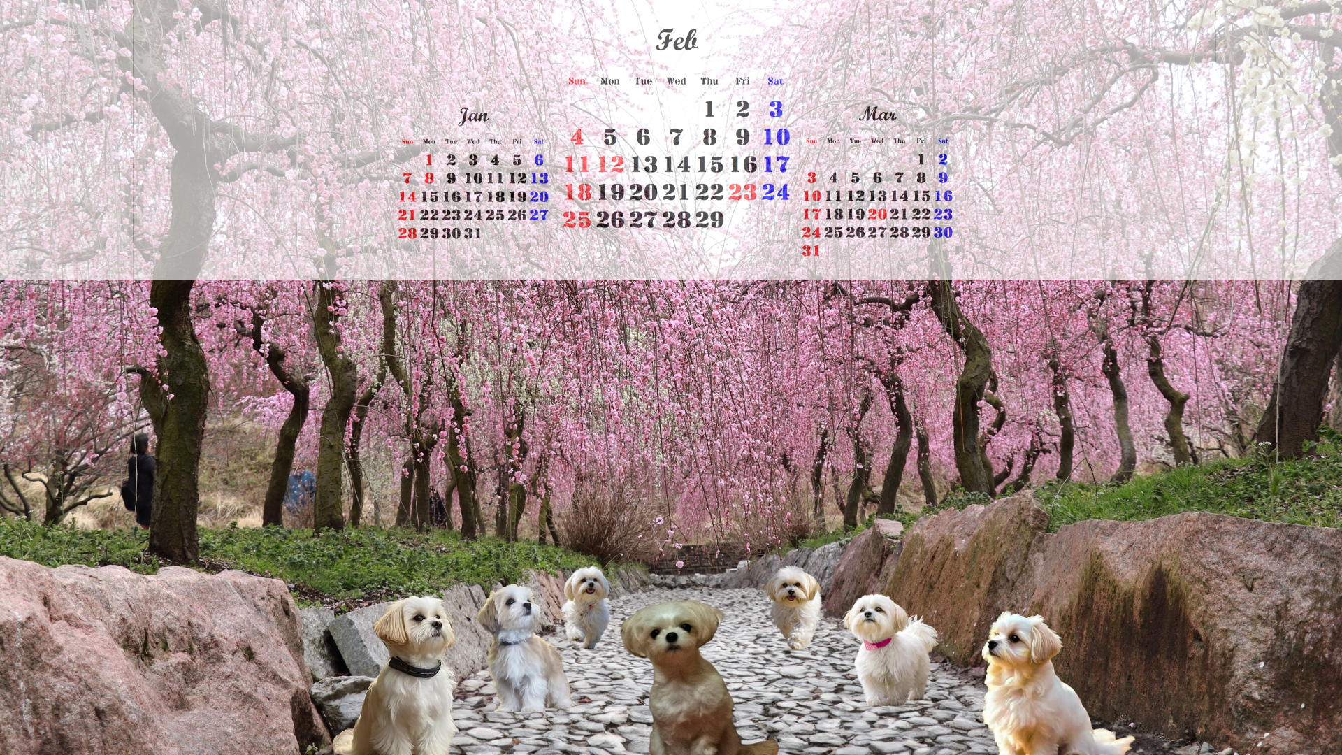 SKO48 Feb. '24 Calender